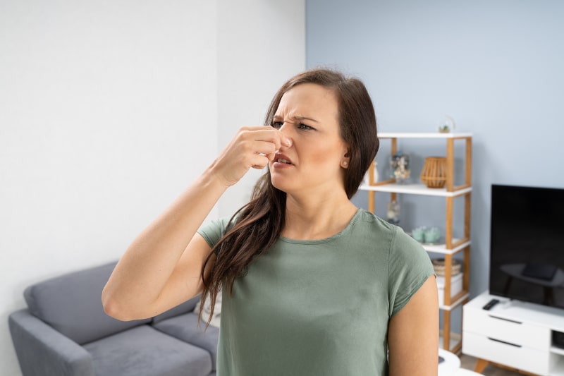 3 Odors That Shouldn’t Come Out of Your Timberlake, NC, Boiler